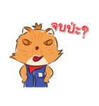 Welovecats（個別スタンプ：24）