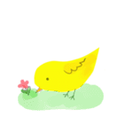 黄色い鳥のヒヨコ（個別スタンプ：12）