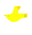 黄色い鳥のヒヨコ（個別スタンプ：13）