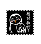 Funny black and white owls 1（個別スタンプ：13）