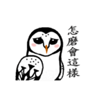 Funny black and white owls 1（個別スタンプ：14）
