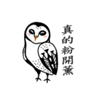 Funny black and white owls 1（個別スタンプ：16）