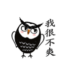 Funny black and white owls 1（個別スタンプ：22）