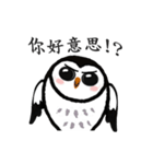 Funny black and white owls 1（個別スタンプ：24）