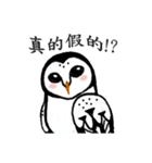 Funny black and white owls 1（個別スタンプ：32）