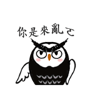 Funny black and white owls 1（個別スタンプ：35）