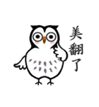 Funny black and white owls 2（個別スタンプ：1）