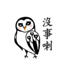 Funny black and white owls 2（個別スタンプ：9）