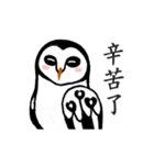 Funny black and white owls 2（個別スタンプ：11）