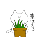 田中もちねこ（個別スタンプ：11）