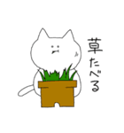 田中もちねこ（個別スタンプ：12）