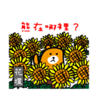 Liu-Lang Bear-in Changhua County（個別スタンプ：12）