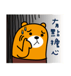 Liu-Lang Bear-in Changhua County（個別スタンプ：38）