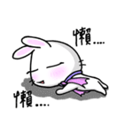 Bunny Winnie ~~ funny,adorable（個別スタンプ：1）