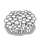 New fellow of fungi (Autumn ver.)（個別スタンプ：13）