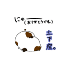 にゃんたむ（個別スタンプ：8）
