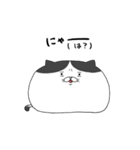 にゃんたむ（個別スタンプ：11）