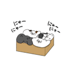 にゃんたむ（個別スタンプ：40）