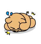 Curry bear (part2！！)（個別スタンプ：3）