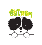 Tofu the little poodle（個別スタンプ：1）