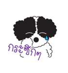 Tofu the little poodle（個別スタンプ：7）