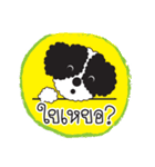 Tofu the little poodle（個別スタンプ：12）