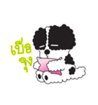 Tofu the little poodle（個別スタンプ：13）