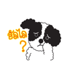 Tofu the little poodle（個別スタンプ：14）