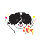 Tofu the little poodle（個別スタンプ：15）