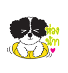 Tofu the little poodle（個別スタンプ：16）