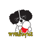 Tofu the little poodle（個別スタンプ：18）