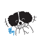 Tofu the little poodle（個別スタンプ：21）