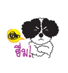 Tofu the little poodle（個別スタンプ：23）