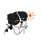 Tofu the little poodle（個別スタンプ：25）