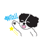 Tofu the little poodle（個別スタンプ：28）