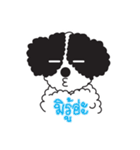 Tofu the little poodle（個別スタンプ：31）