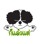 Tofu the little poodle（個別スタンプ：33）