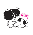 Tofu the little poodle（個別スタンプ：35）