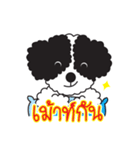 Tofu the little poodle（個別スタンプ：36）