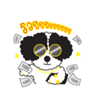 Tofu the little poodle（個別スタンプ：38）