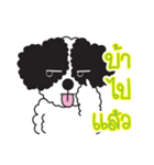 Tofu the little poodle（個別スタンプ：40）