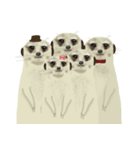 Meerkat family（個別スタンプ：2）