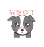 Q version lock pet dog-Cool guys lovable（個別スタンプ：9）