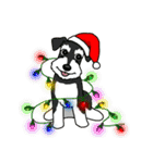 テリア犬たちの楽しいクリスマスパーティ！（個別スタンプ：25）