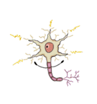 Cells, Tissues, Organs ＆ Living Things（個別スタンプ：35）