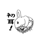 うさぎ三郎ぴょん衛門（個別スタンプ：13）