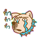 BrownDog（個別スタンプ：17）