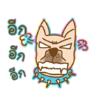 BrownDog（個別スタンプ：37）