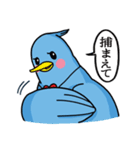 確かに青い鳥（個別スタンプ：3）