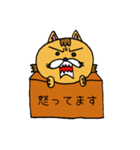 箱猫（個別スタンプ：3）